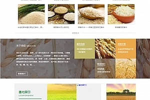 網站源碼與內容管理系統 構建與管理現代網站的關鍵